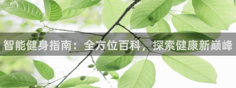 QY球友会官网