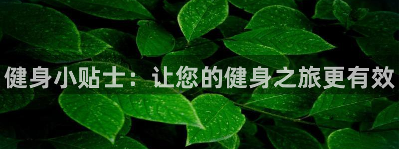 qy球友会下载