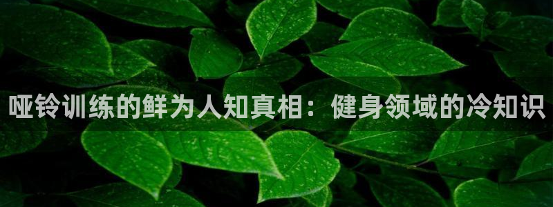 qy球友会体育(中国)官方网站