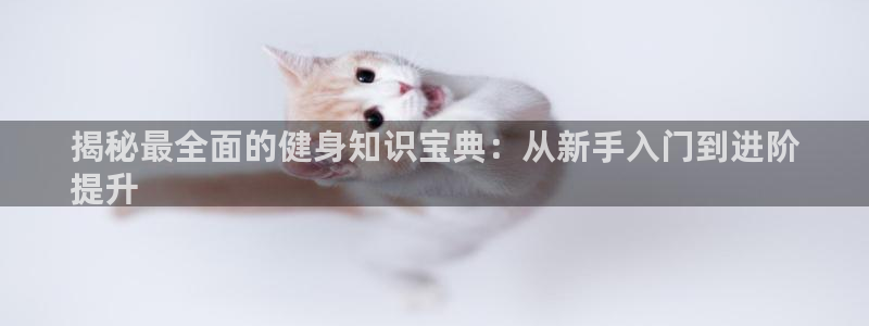 qy球友会下载